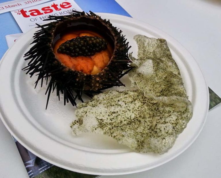see urchin