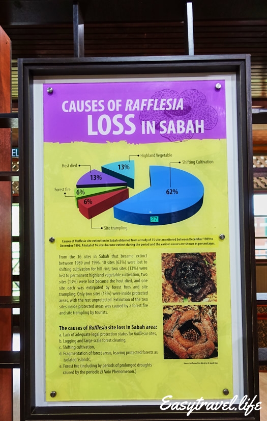 Causes of Raflesia loss in Sabah