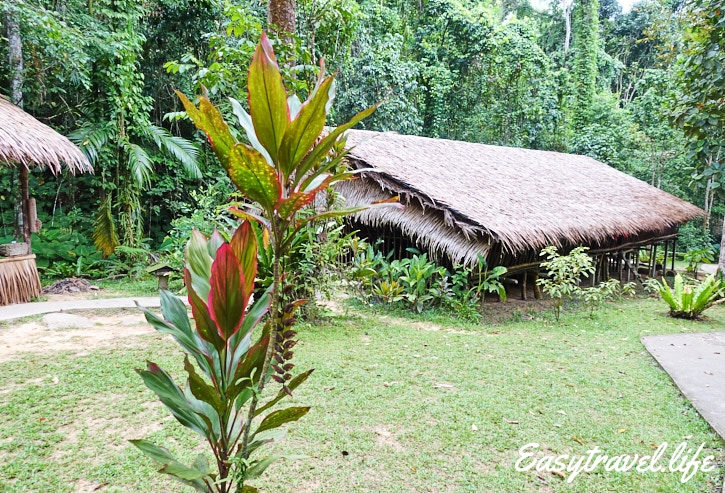 Tribe house