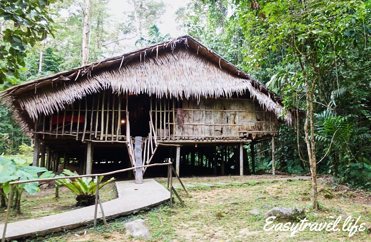Old Borneo house